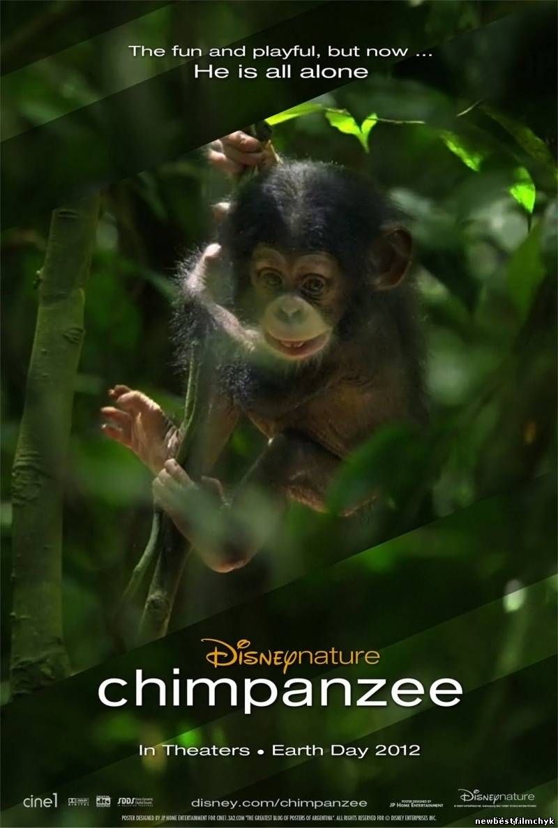 Шимпанзе Chimpanzee (2012) смотреть онлайн